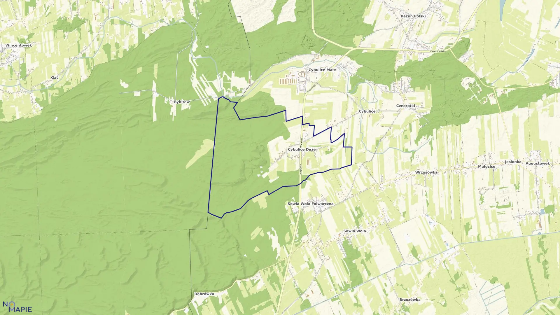 Mapa obrębu CYBULICE DUŻE w gminie Czosnów